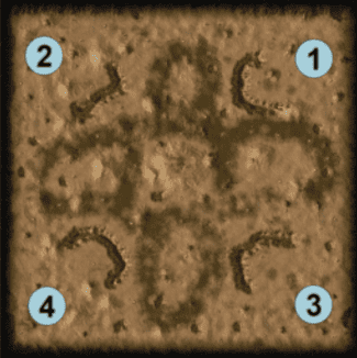 Open Range