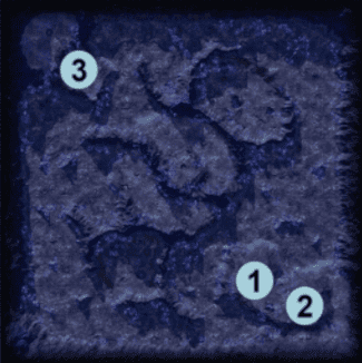 Orion's Spur
