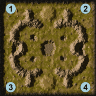 Tortuga