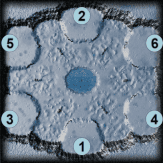 Trappist